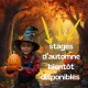 stages automne