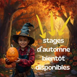 stages automne