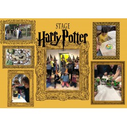Kids : Harry Potter