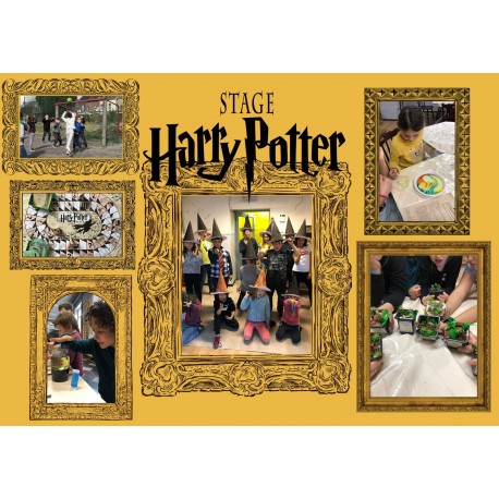 Kids : Harry Potter