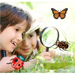 Kids: Stage Nature insectes (uniquement à Ecausinnes)