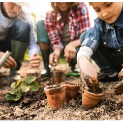 Kids: le monde végétal : comment ça pousse?